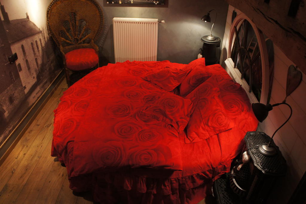 Aux Logis De La Solre Bed & Breakfast Ferriere-la-Petite Room photo