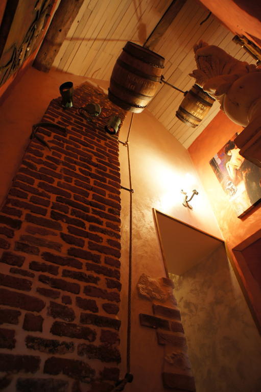 Aux Logis De La Solre Bed & Breakfast Ferriere-la-Petite Exterior photo